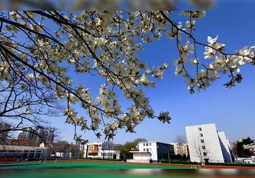 淄博市体育运动学校